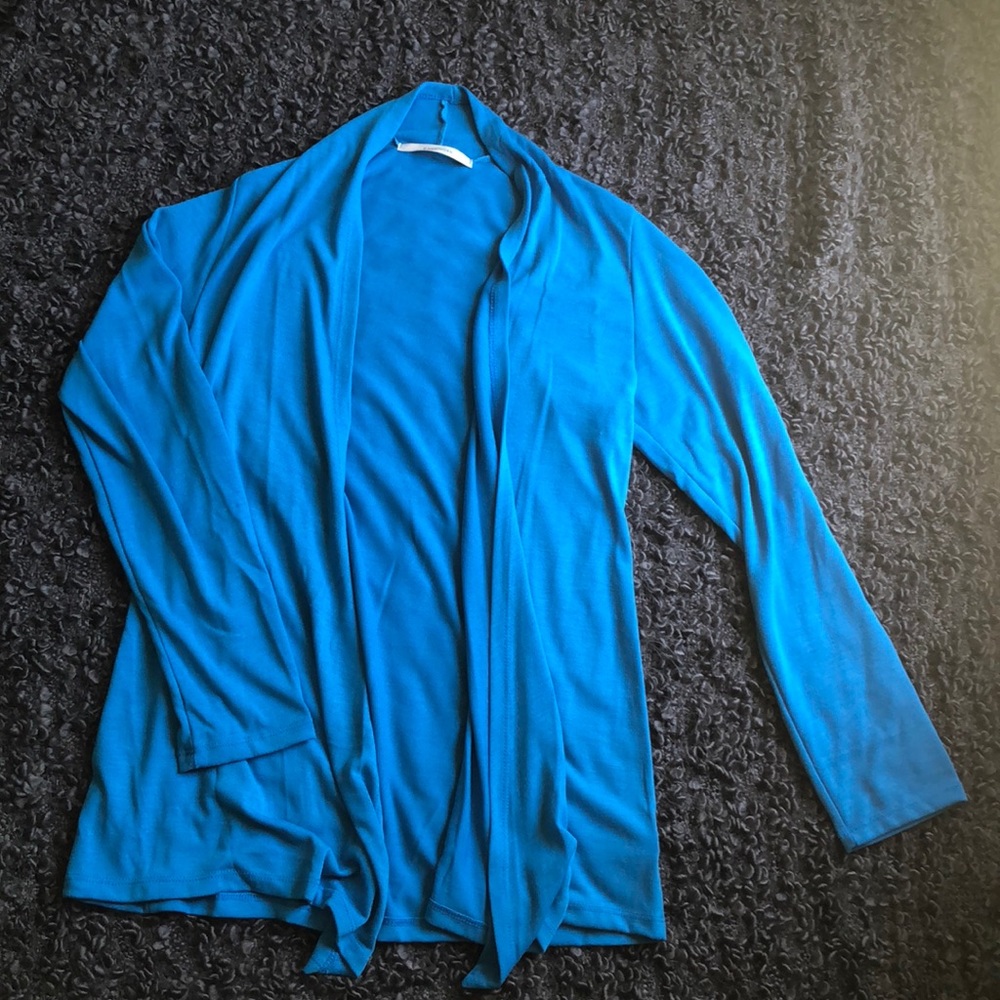 Blue Cardigan